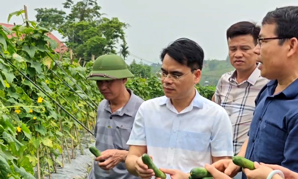 S&acirc;u s&aacute;t cơ sở để c&oacute; quyết s&aacute;ch đ&uacute;ng