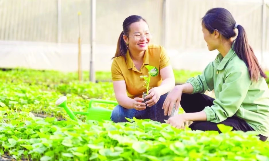 Chuyển giao c&ocirc;ng nghệ, đổi mới tư duy sản xuất