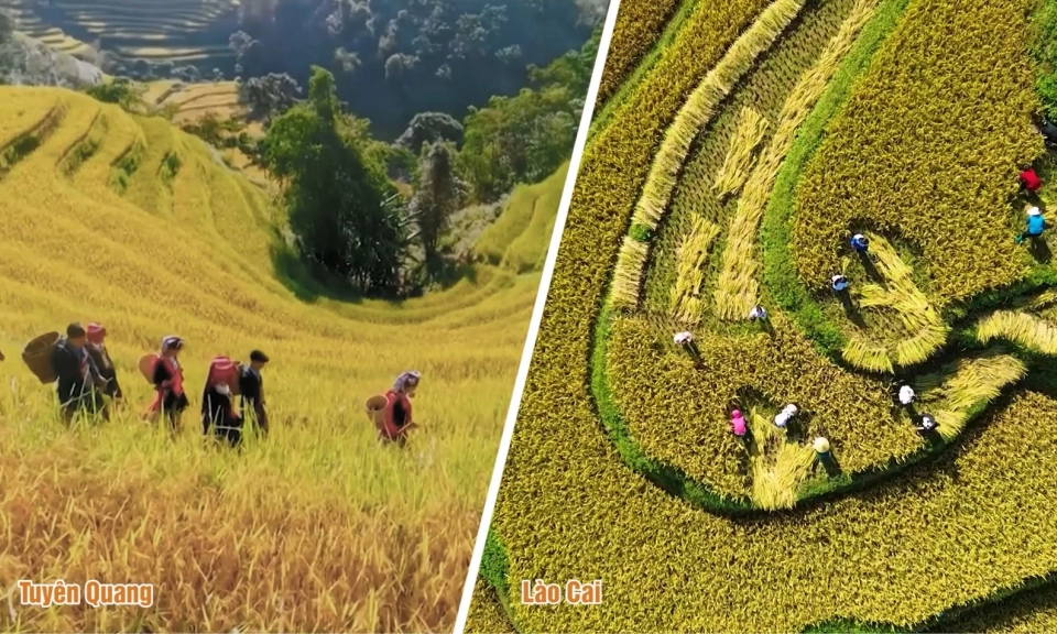 Phim t&agrave;i liệu: L&agrave;o Cai - Tuy&ecirc;n Quang: Một dải bi&ecirc;n cương h&ograve;a nhịp ph&aacute;t triển