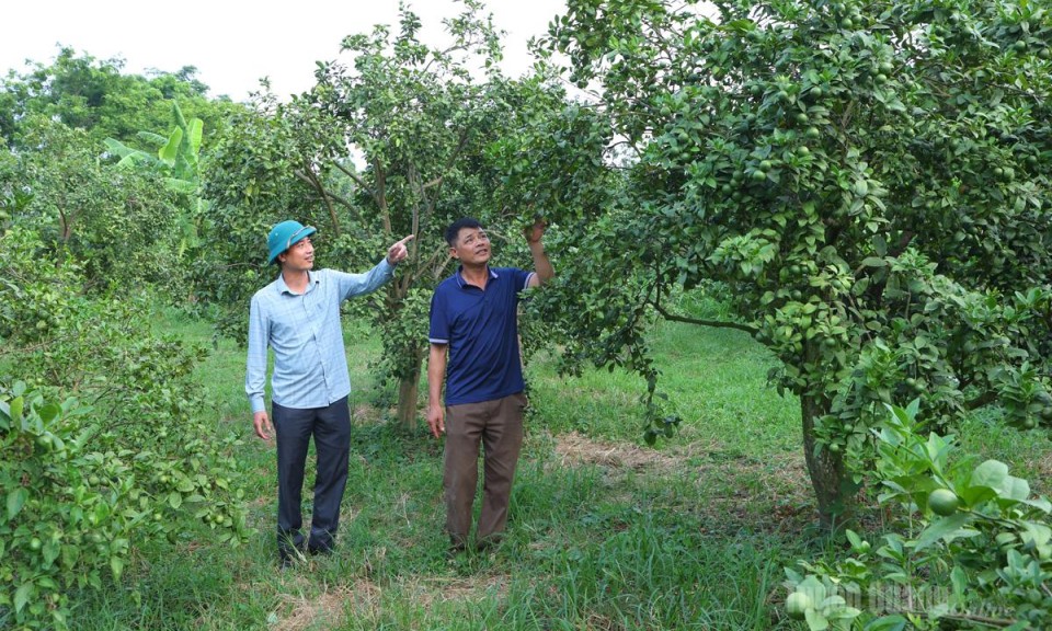 Giảm ngh&egrave;o ở Ph&uacute; Lương: R&otilde; hộ, r&otilde; nguy&ecirc;n nh&acirc;n, r&otilde; giải ph&aacute;p