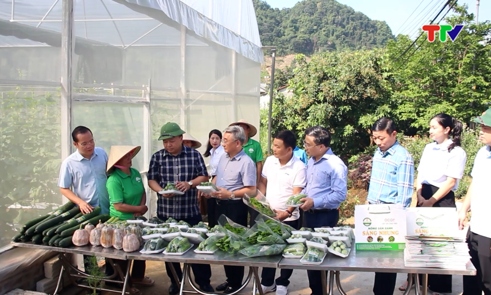 X&atilde; Th&aacute;i B&igrave;nh &ndash; Dấu ấn một năm hợp nhất