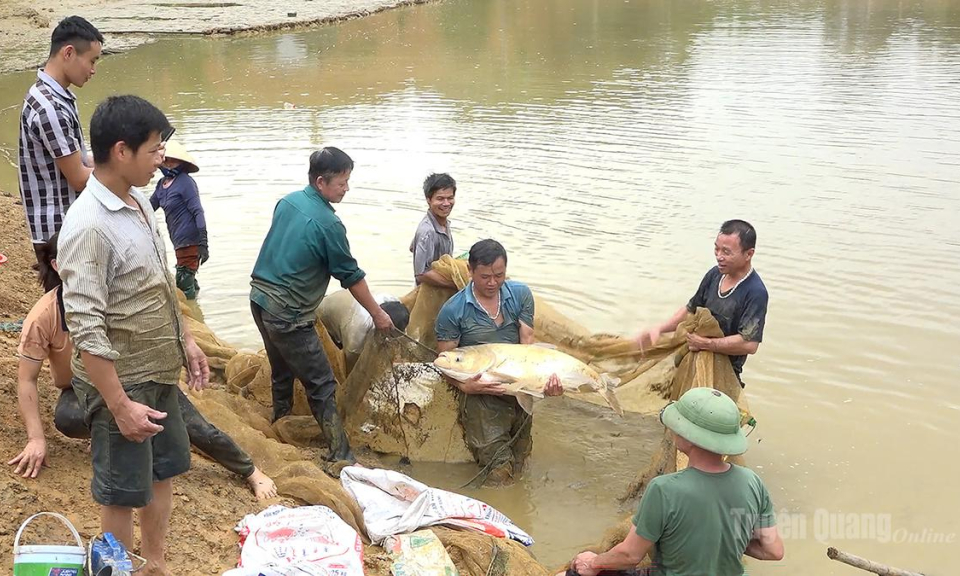 C&uacute; hu&yacute;ch t&aacute;i cơ cấu ng&agrave;nh n&ocirc;ng nghiệp