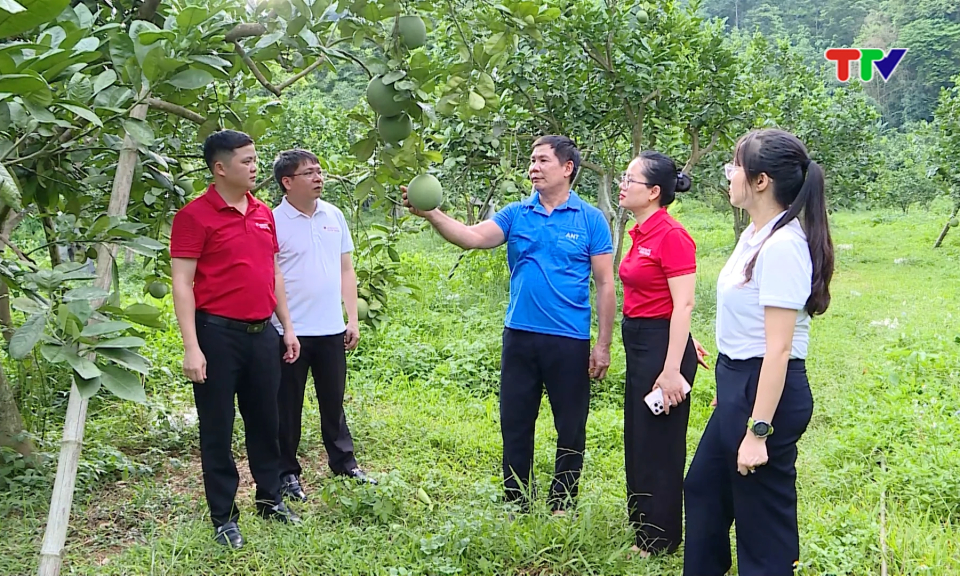 Ng&acirc;n h&agrave;ng đồng h&agrave;nh c&ugrave;ng kh&aacute;ch h&agrave;ng ph&aacute;t triển kinh tế