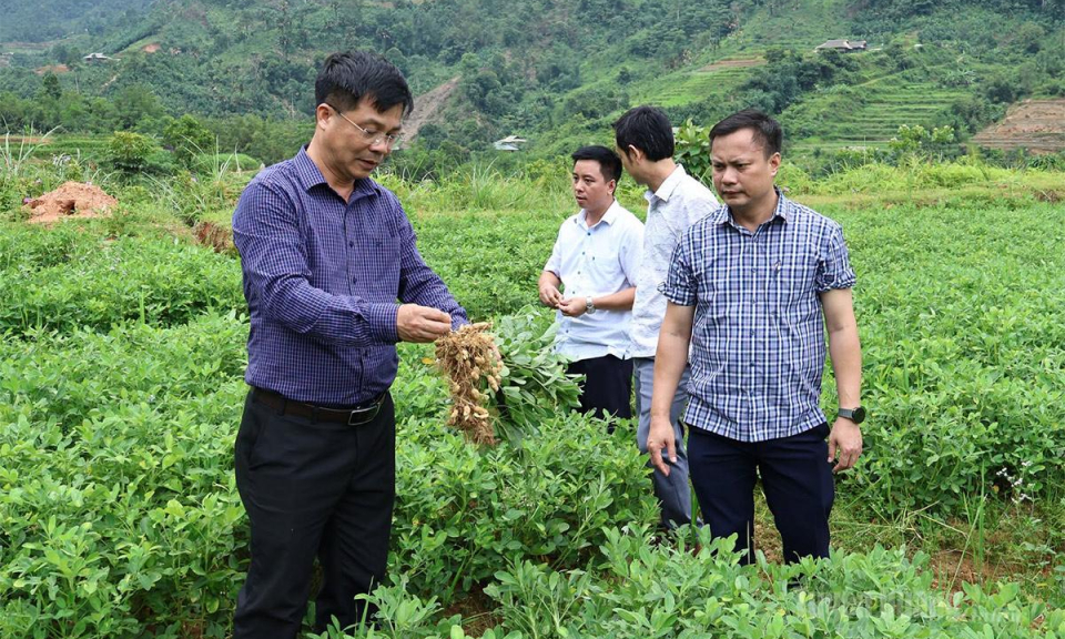 Động lực ph&aacute;t triển kinh tế ở Khu&ocirc;n L&ugrave;ng
