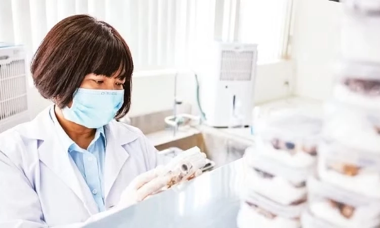 Đột ph&aacute; c&ocirc;ng nghệ nối d&agrave;i h&agrave;nh tr&igrave;nh tri &acirc;n