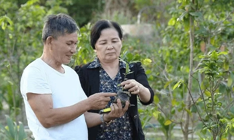 Những ch&iacute;nh s&aacute;ch nh&acirc;n văn chăm lo đời sống người cao tuổi