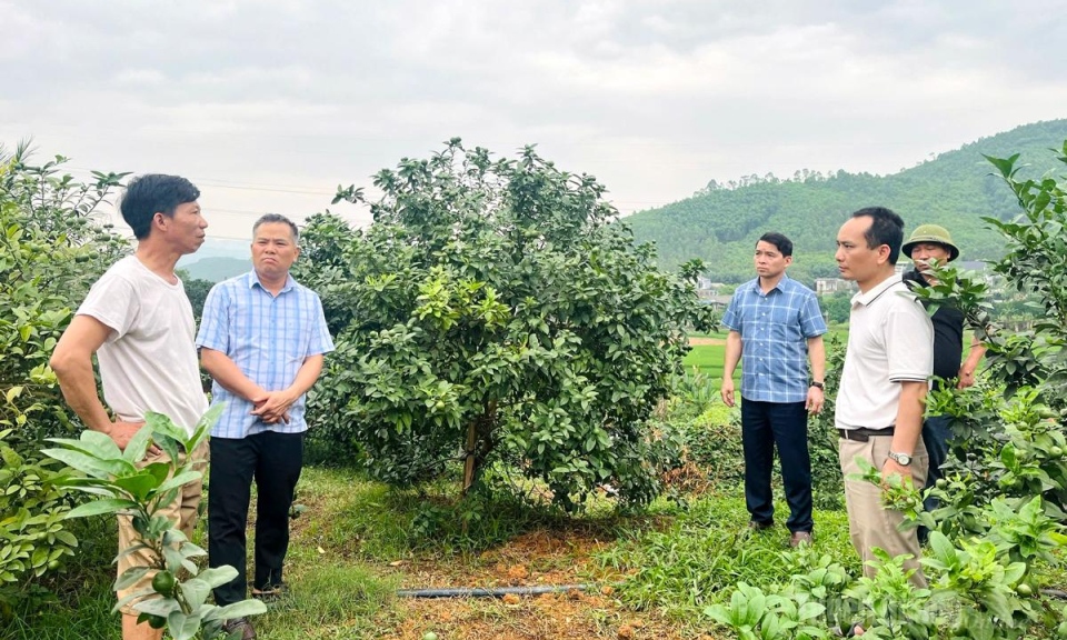 B&igrave;nh Ca dồn sức thực hiện giảm ngh&egrave;o bền vững