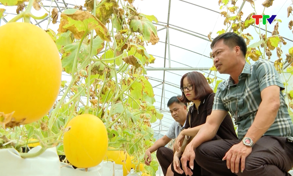 Thay đổi tư duy - Tạo đ&agrave; cho n&ocirc;ng th&ocirc;n mới ph&aacute;t triển bền vững