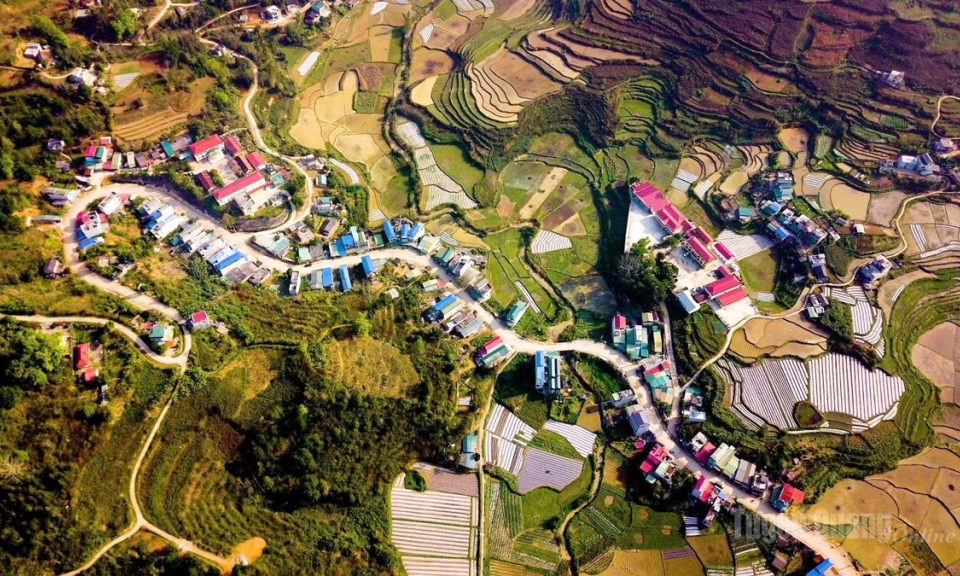 Đổi thay nơi ph&ecirc;n giậu Bạch Đ&iacute;ch