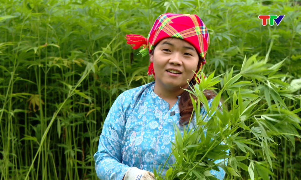 D&ograve;ng chảy văn h&oacute;a| M&ugrave;a lanh