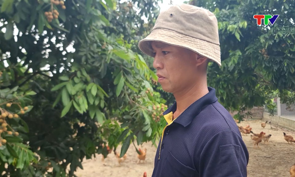 Ph&aacute;t triển chăn nu&ocirc;i - Mở lối tho&aacute;t ngh&egrave;o