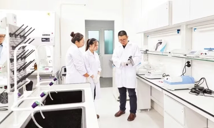 X&acirc;y dựng nguồn nh&acirc;n lực khoa học-c&ocirc;ng nghệ cho lĩnh vực then chốt