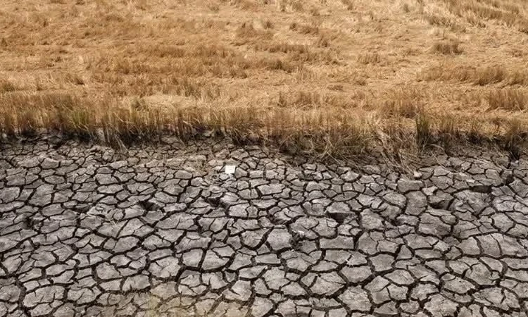 Cường độ El Nino c&oacute; thể từ mạnh đến si&ecirc;u mạnh trong năm nay