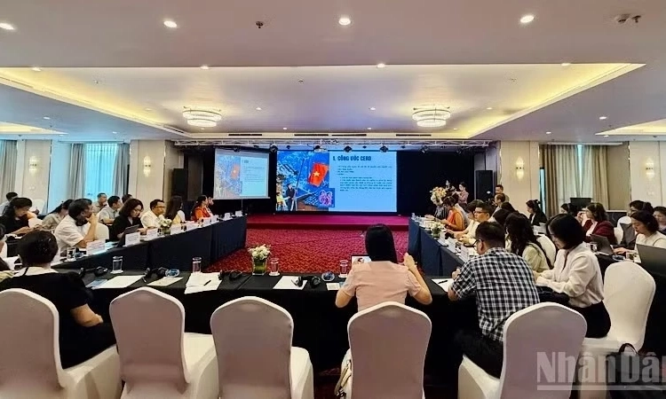 X&acirc;y dựng dữ liệu quốc gia để thực thi C&ocirc;ng ước quốc tế CERD tại Việt Nam