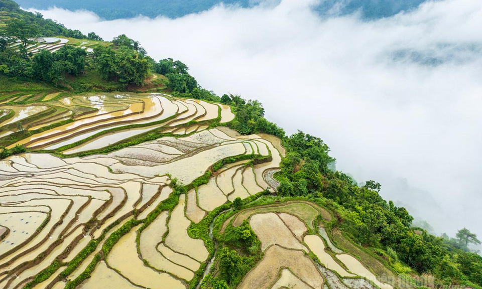 Kiệt t&aacute;c giữa ng&agrave;n m&acirc;y