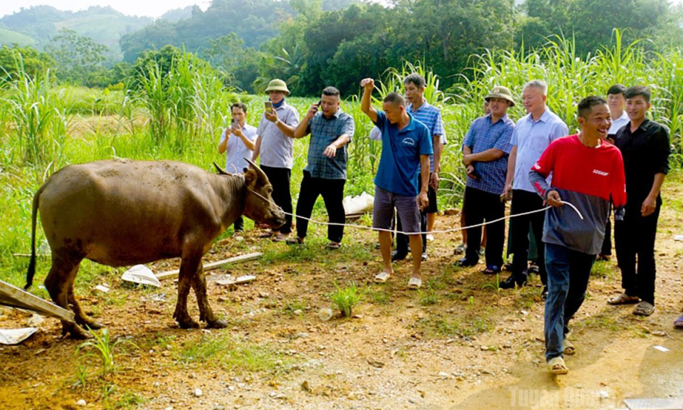 X&atilde; Đồng Y&ecirc;n trao tr&acirc;u giống hỗ trợ hộ ngh&egrave;o