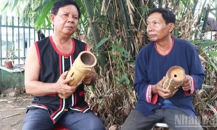 Đừng để hồn đ&agrave;n Chapi mai một