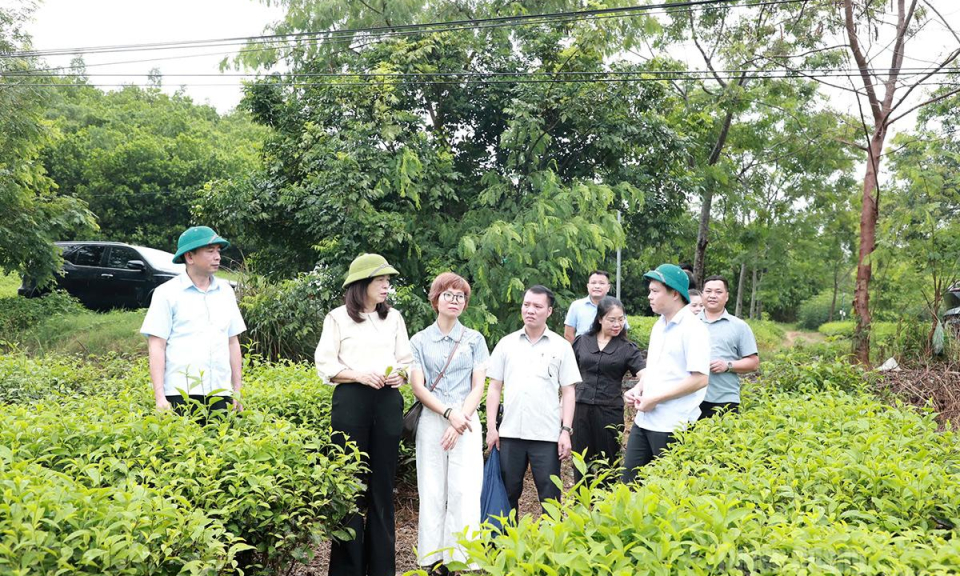 Gi&aacute;m s&aacute;t chuy&ecirc;n đề việc thực hiện c&aacute;c quy định của ph&aacute;p luật về quản l&yacute;, sử dụng đất v&agrave; giao đất, cho thu&ecirc; đất tại x&atilde; Nhữ Kh&ecirc;