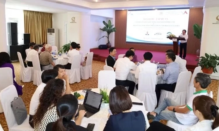 Huế từng bước x&acirc;y dựng nền tảng để đ&oacute;n d&ograve;ng kh&aacute;ch du lịch Halal