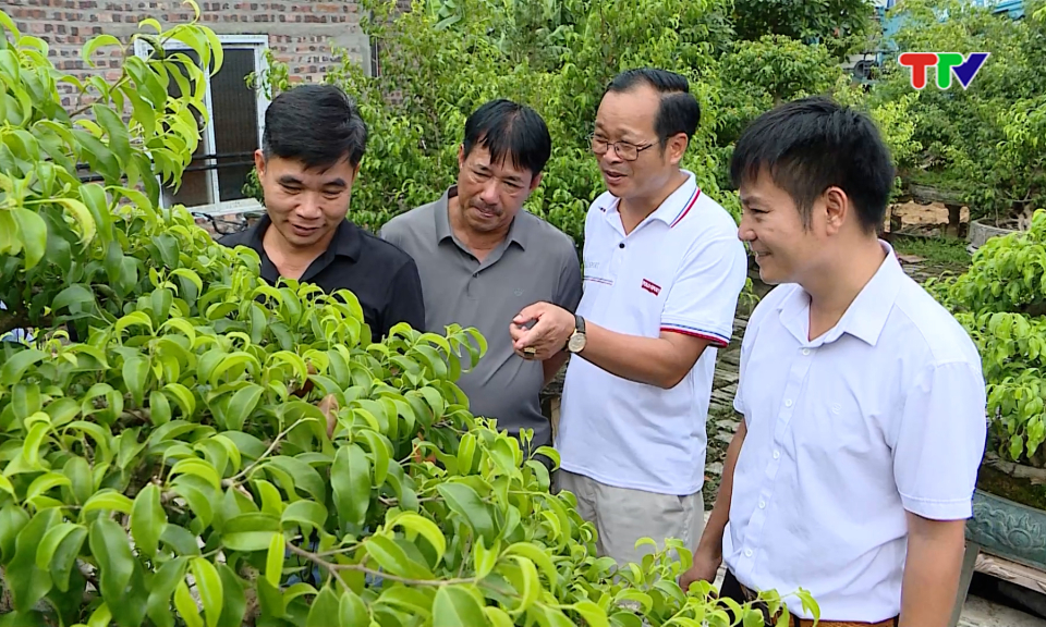 Ph&aacute;t triển c&aacute;c m&ocirc; h&igrave;nh sinh vật cảnh, n&acirc;ng cao gi&aacute; trị kinh tế