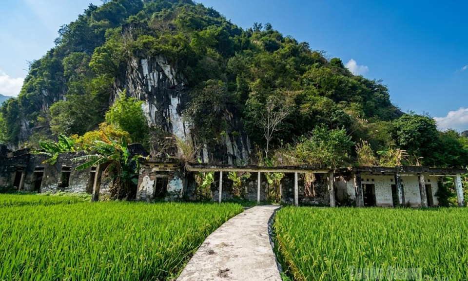 L&agrave;ng Pinh hồi sinh