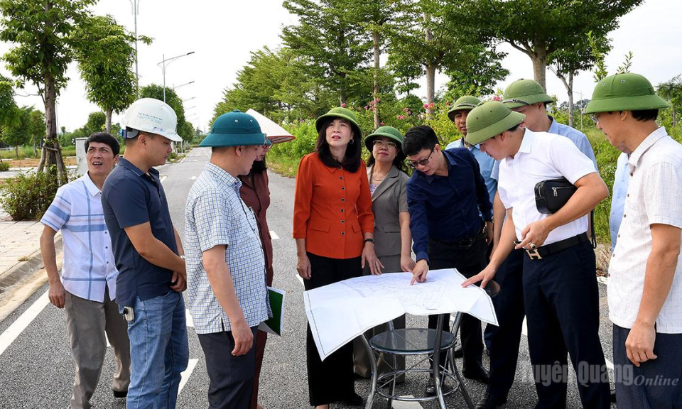 Th&aacute;o gỡ kh&oacute; khăn, đẩy nhanh tiến độ thực hiện c&aacute;c dự &aacute;n đầu tư tr&ecirc;n địa b&agrave;n phường An Tường
