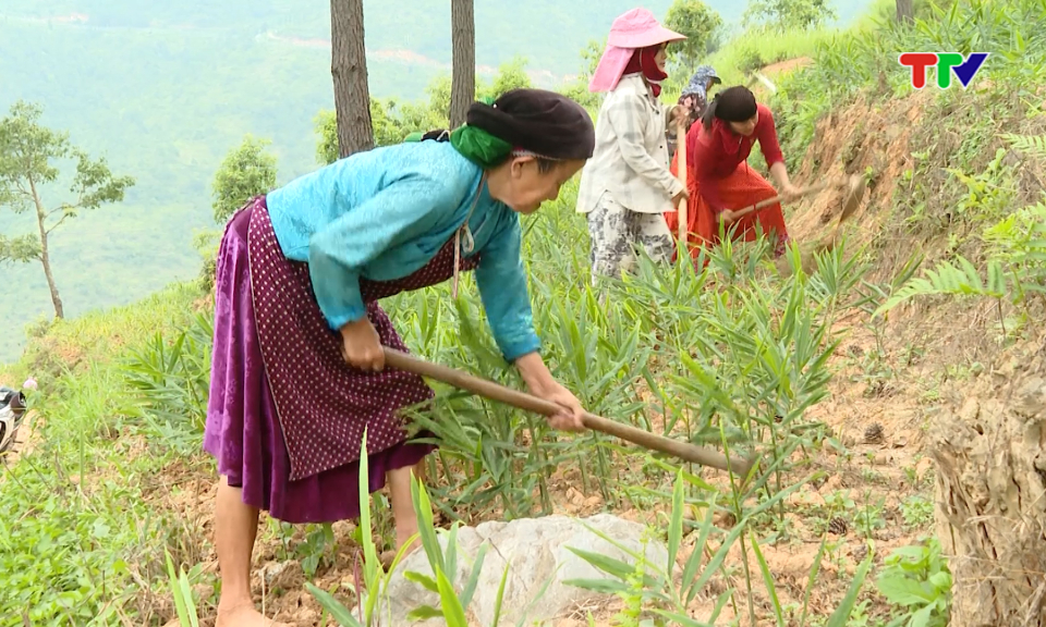 Mạch sống nảy mầm từ đ&aacute;