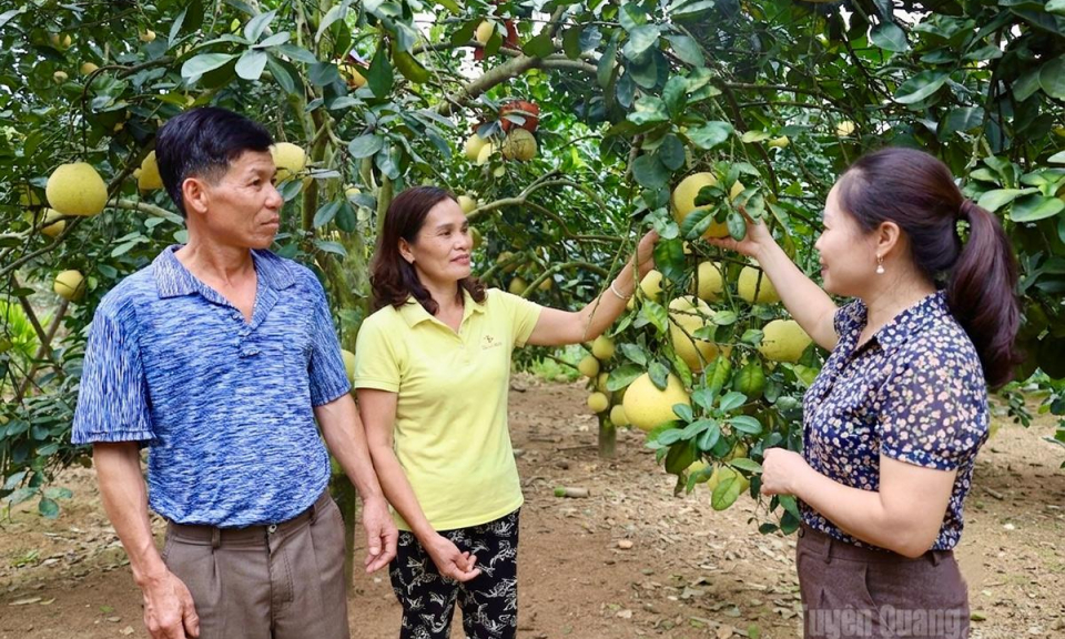 Đ&aacute;nh thức lợi thế bản địa