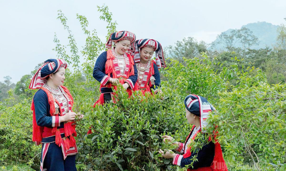 Bứt ph&aacute; từ lợi thế địa phương