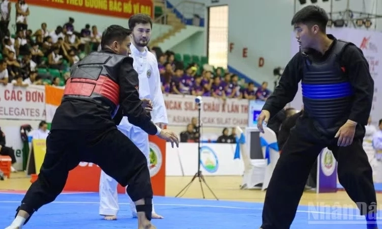 Việt Nam đoạt 16 huy chương V&agrave;ng Giải Pencak Silat ch&acirc;u &Aacute; 2026