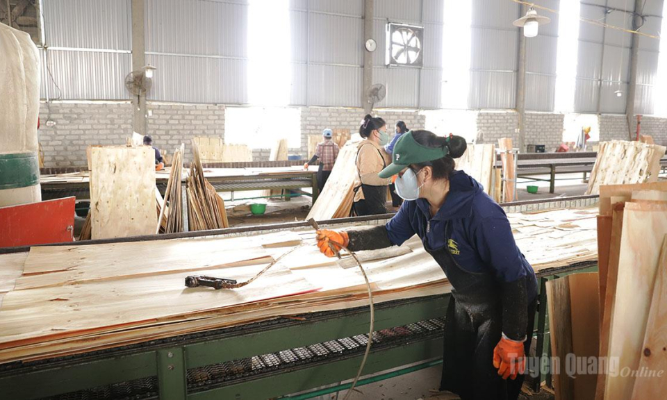 Tuy&ecirc;n Quang hỗ trợ 17 đề &aacute;n từ nguồn khuyến c&ocirc;ng địa phương năm 2026