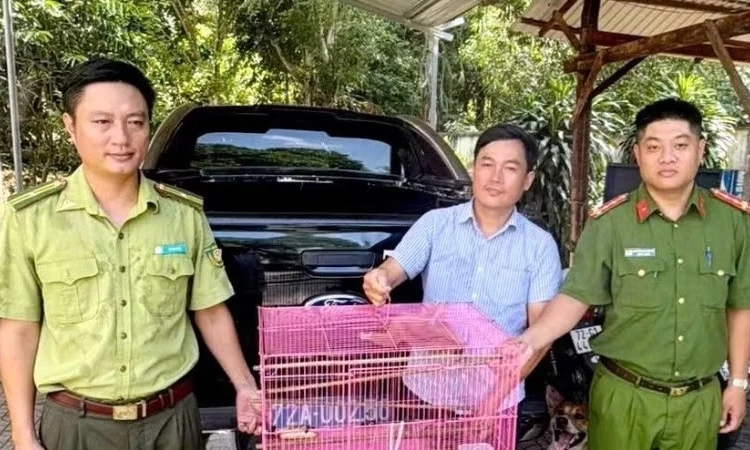Người d&acirc;n tự nguyện giao nộp nhiều động vật hoang d&atilde; qu&yacute; hiếm