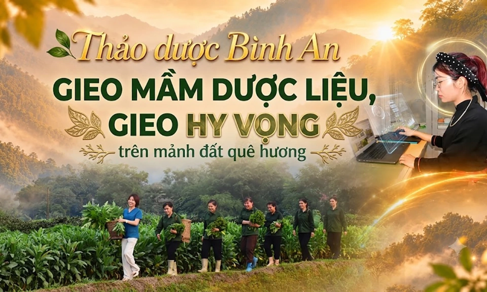 Thảo dược B&igrave;nh An - Gieo mầm dược liệu tr&ecirc;n mảnh đất qu&ecirc; hương