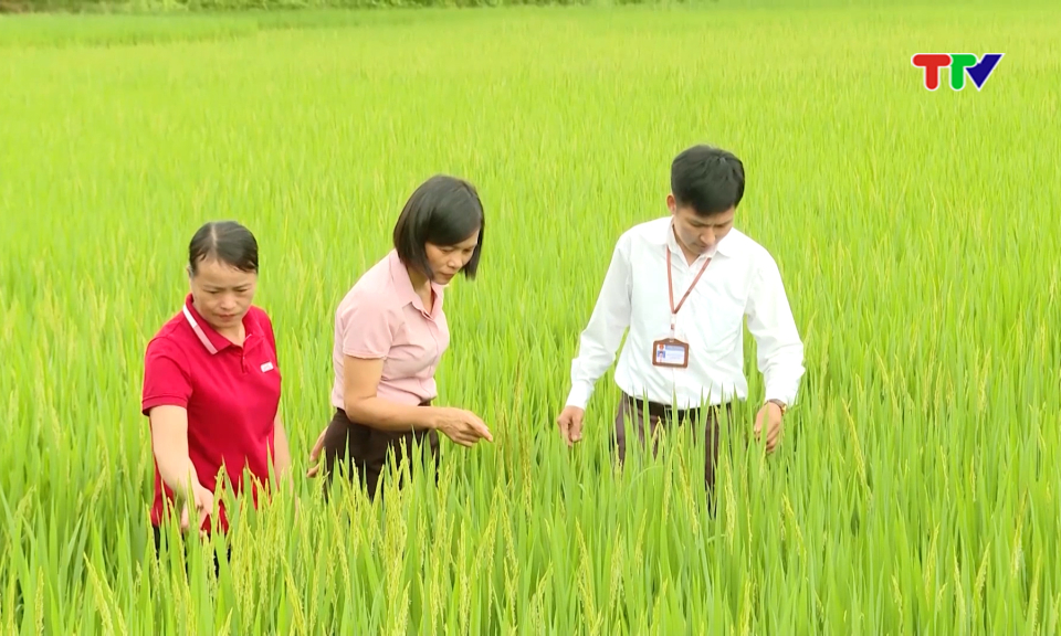 Đẩy mạnh giải ng&acirc;n nguồn vốn chương tr&igrave;nh mục ti&ecirc;u quốc gia 