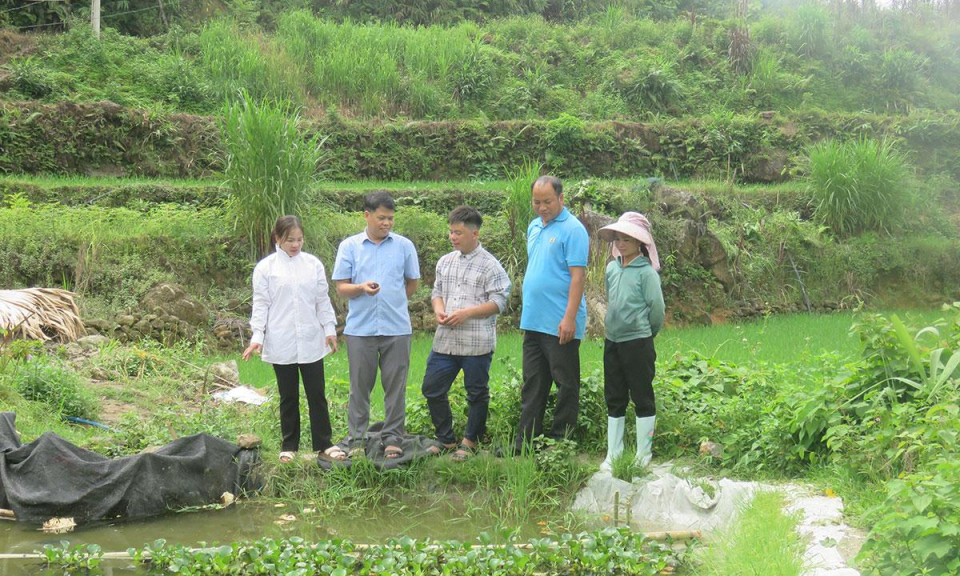 X&acirc;y dựng nghị quyết từ thực tiễn