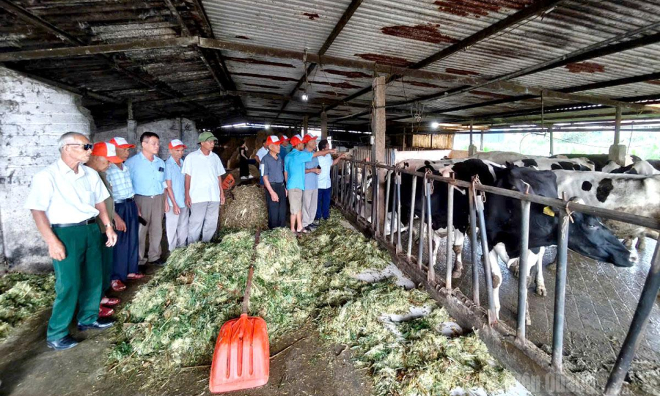 Đo&agrave;n đại biểu người c&oacute; uy t&iacute;n tỉnh Tuy&ecirc;n Quang học tập kinh nghiệm tại Ph&uacute; Thọ, Sơn La v&agrave; Điện Bi&ecirc;n