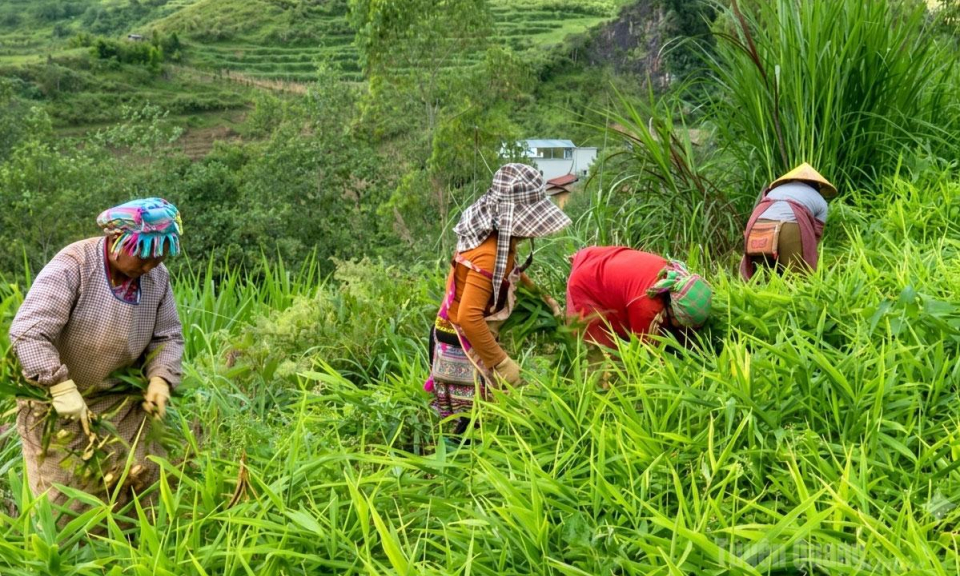 Gi&aacute;m s&aacute;t thực chất, hiệu quả