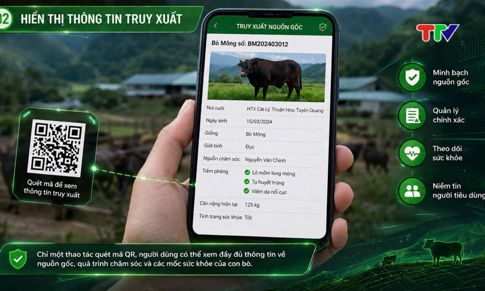 Dữ liệu số h&oacute;a trong chăn nu&ocirc;i