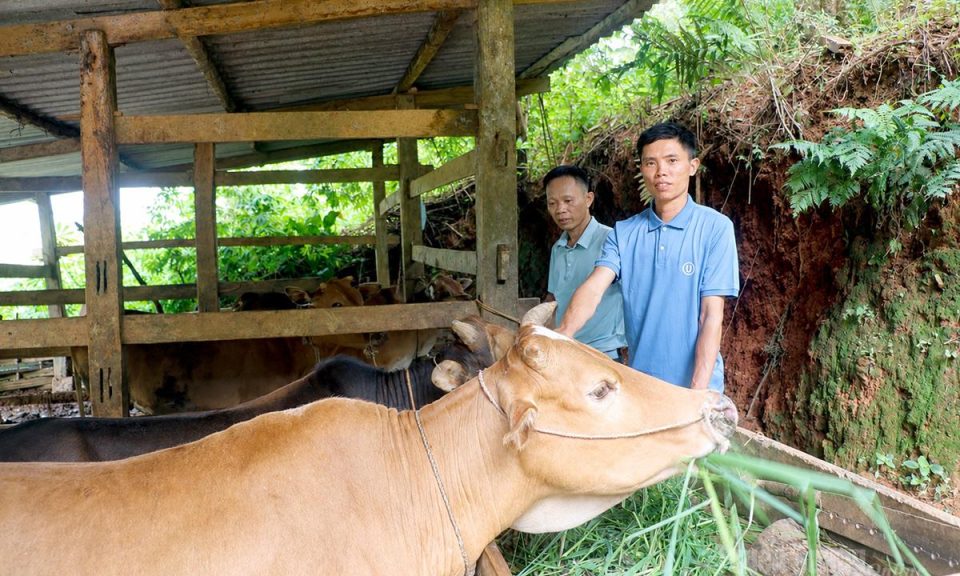 Gi&aacute;p Trung giảm ngh&egrave;o từ ph&aacute;t triển sinh kế bền vững