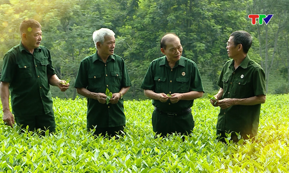 Cựu chiến binh n&ecirc;u gương s&aacute;ng l&agrave;m theo lời B&aacute;c