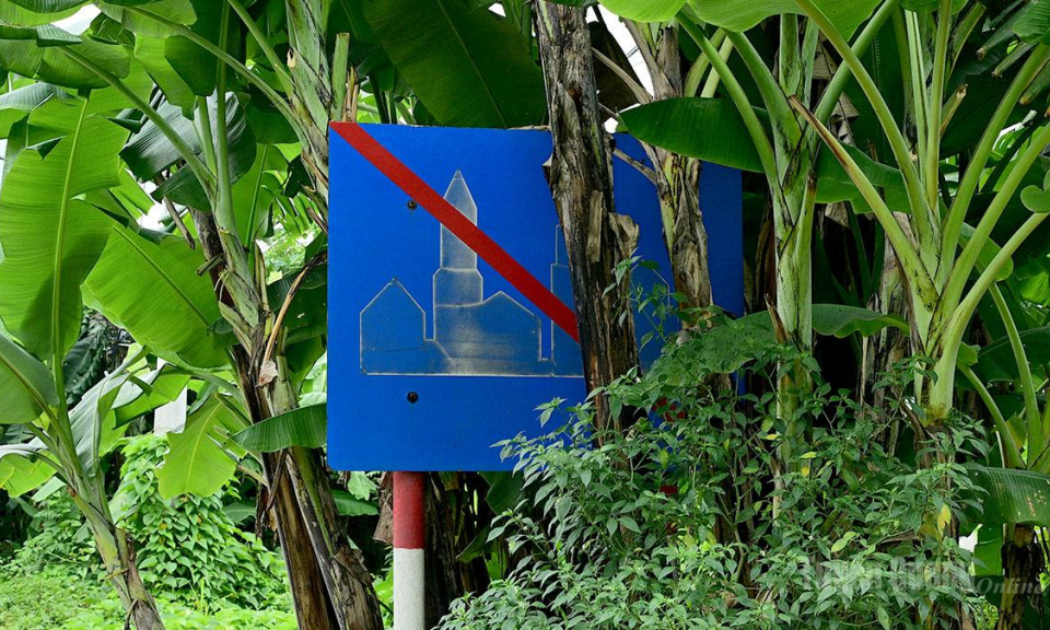 Biển b&aacute;o giao th&ocirc;ng bị c&acirc;y cối che khuất tầm nh&igrave;n.