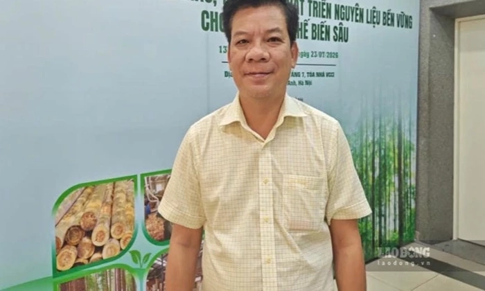 Giảm ph&aacute;t thải carbon v&agrave; ph&aacute;t triển rừng bền vững