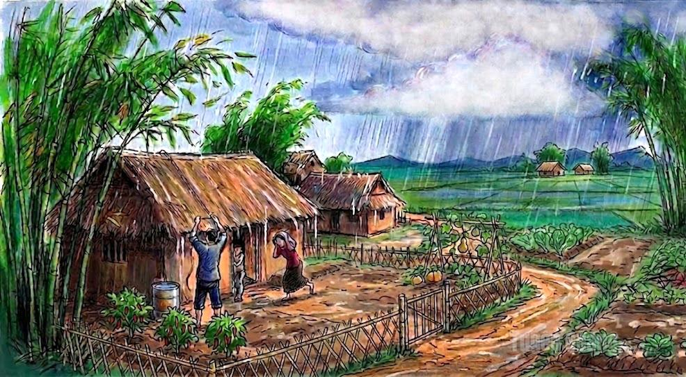 Minh họa: Xuân Đức