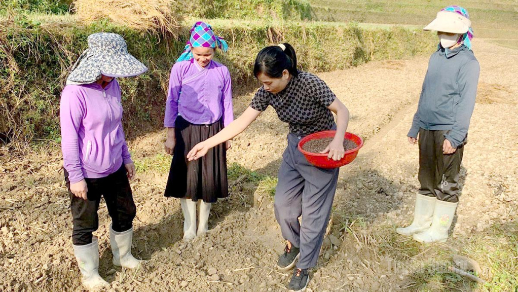 Người dân xã Nấm Dẩn gieo trồng ngô trên diện tích chuyển đổi nhằm giảm rủi ro do thiên tai, bảo đảm hiệu quả  sản xuất.