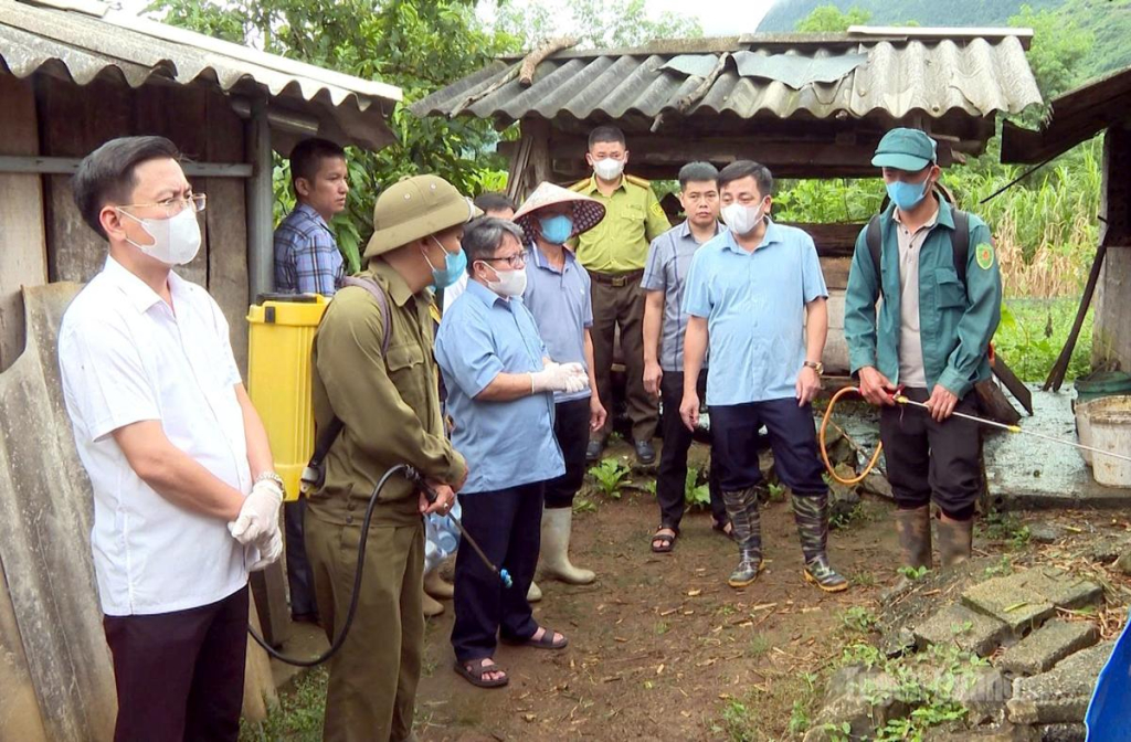 Đoàn công tác Sở Nông nghiệp Và Môi trường kiểm tra công tác phòng, chống dịch bệnh cho đàn vật nuôi tại thôn Hợp Tiến, xã Lùng Tám.