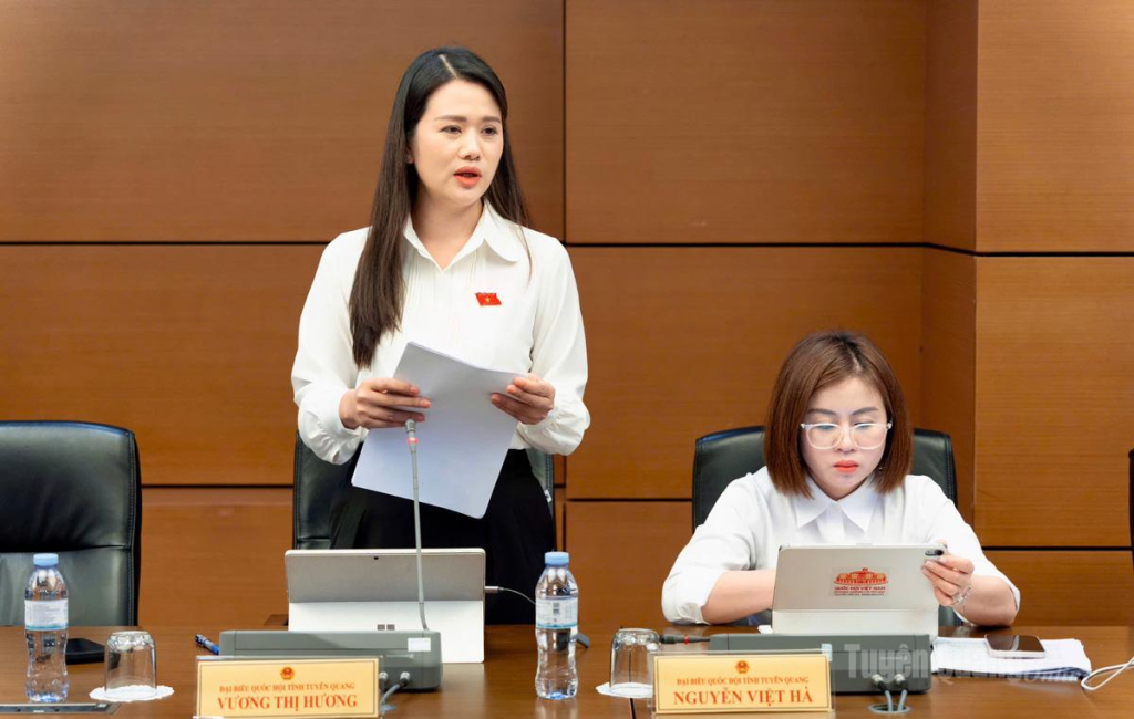 Đại  biểu Vương Thị Hương phát biểu ý kiến thảo luận.
