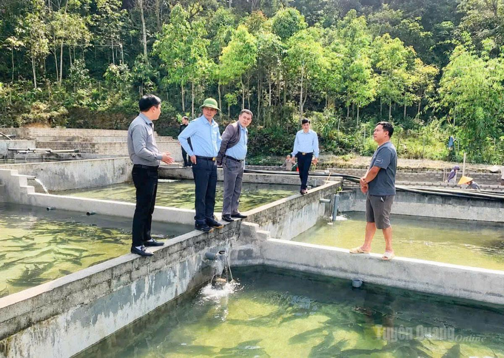 Lãnh đạo xã Tùng Vài thăm mô hình nuôi cá tầm của hộ anh Hà Phúc Tri, thôn Bản Thăng. 