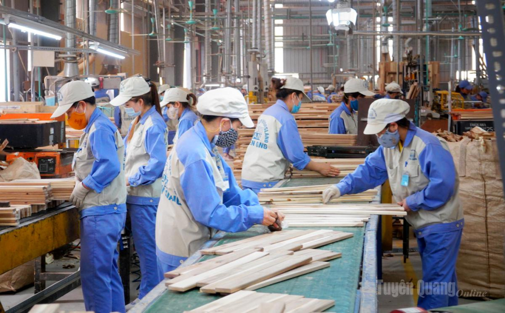 Lao động làm việc tại Công ty cổ phần Woodsland Tuyên Quang.
