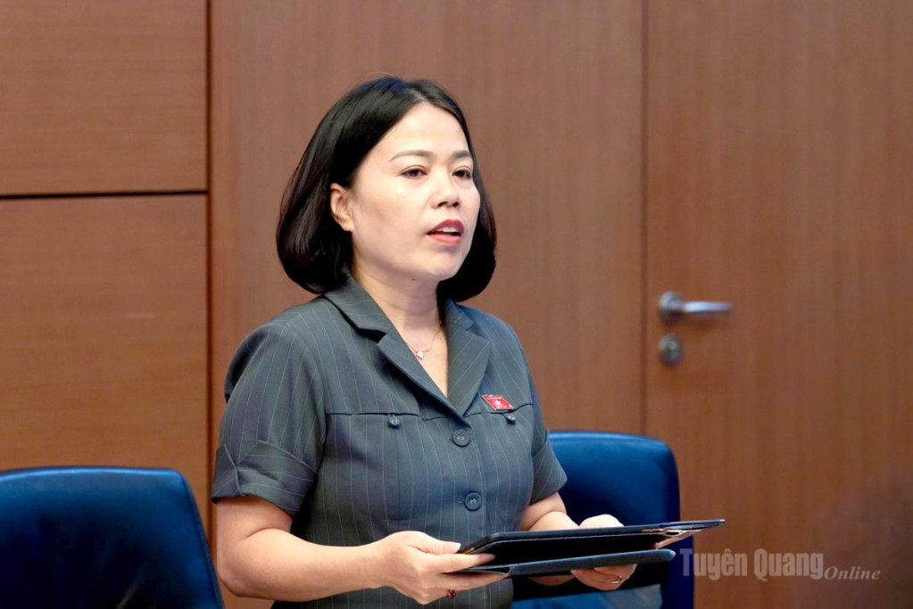 Đại biểu Lý Thị Lan phát biểu ý kiến.
