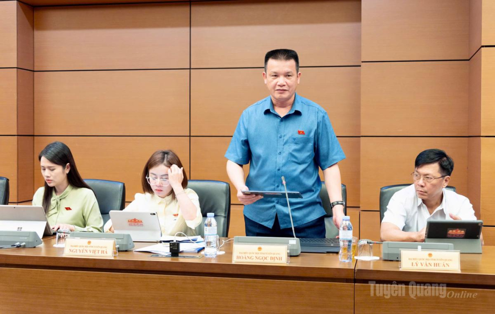 Đại biểu Hoàng Ngọc Định, đoàn ĐBQH khóa XVI tỉnh Tuyên Quang phát biểu ý kiến.